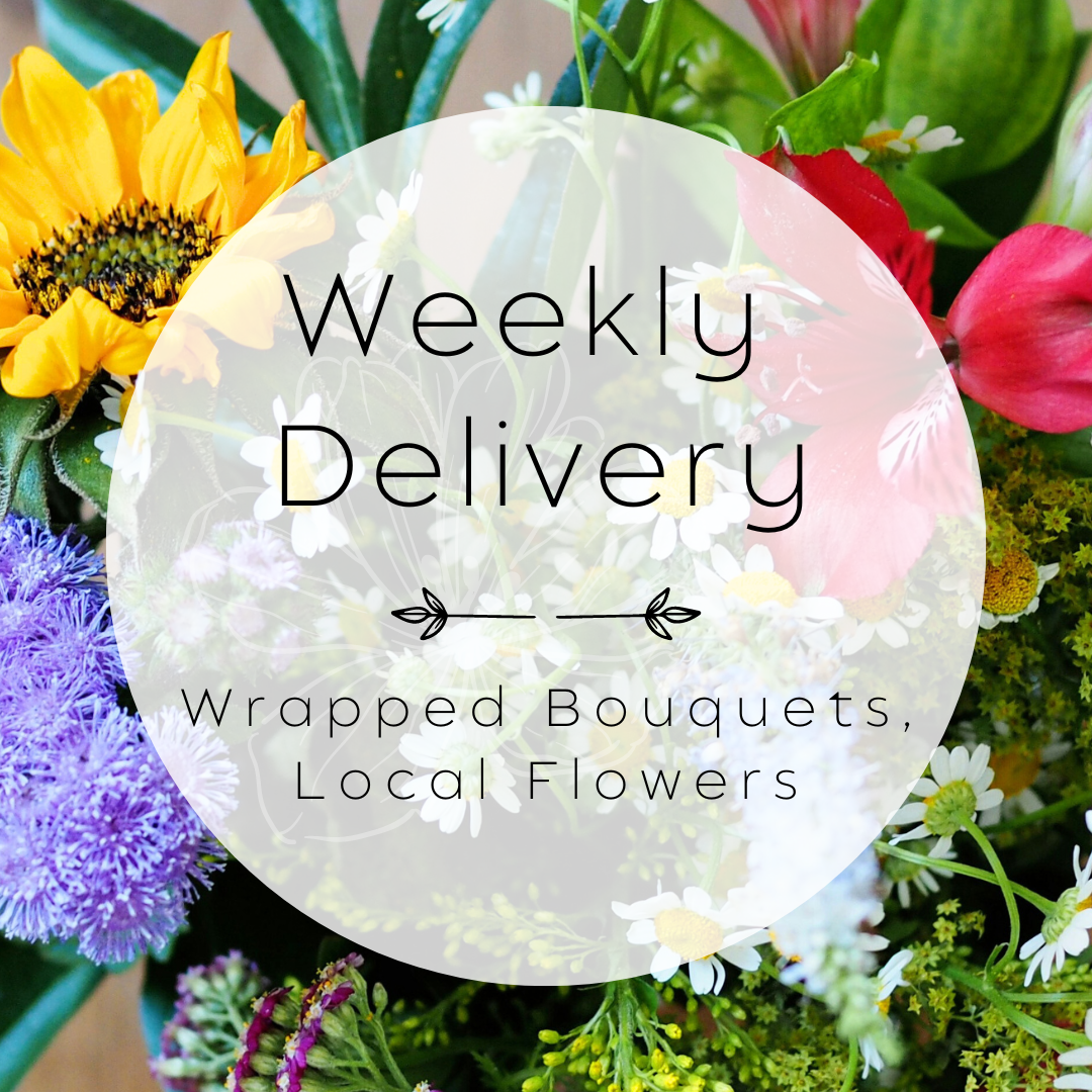 Weekly local delivery - Wrapped in-season, local flowers