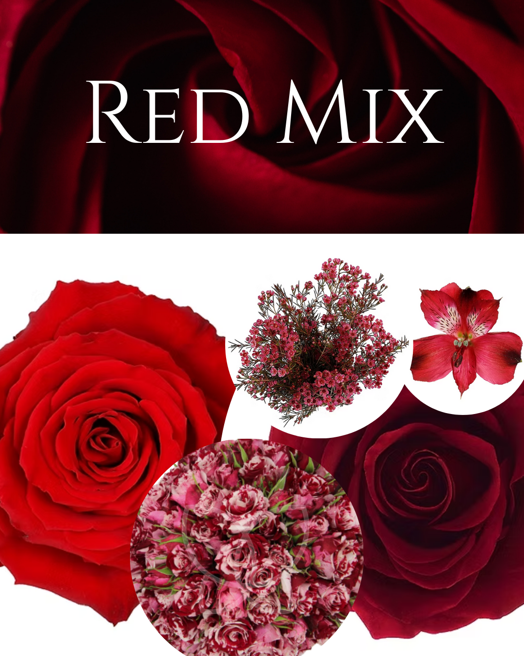 Big Love Arrangement - Valentine's Day by Archer & Bliss