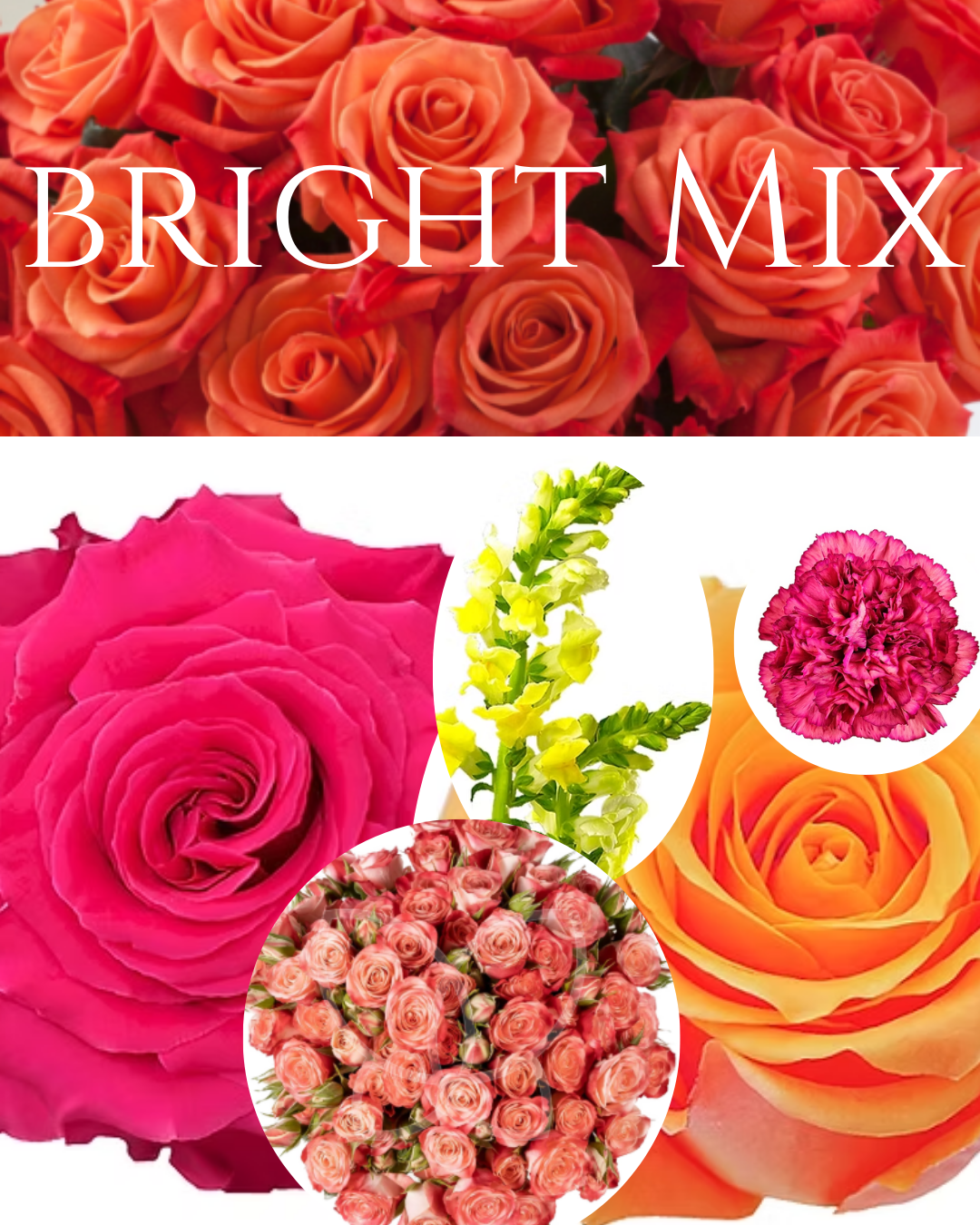 Big Love Arrangement - Valentine's Day by Archer & Bliss