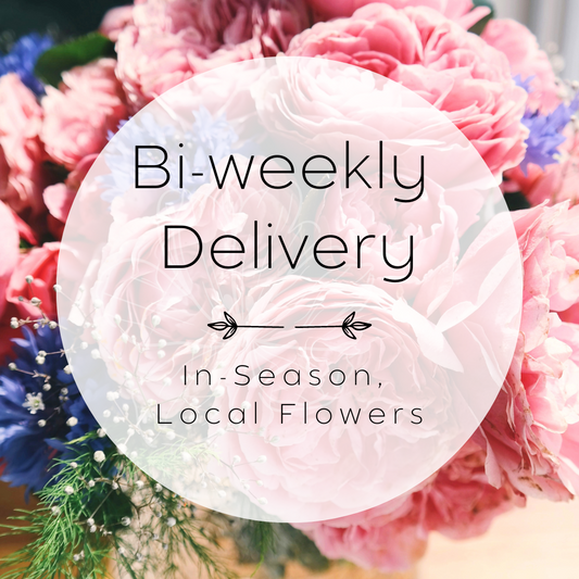 Bi-weekly delivery - In-season, local flowers