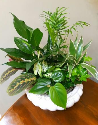 Family Sympathy Package