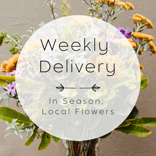 Weekly Delivery - In-season, local flowers