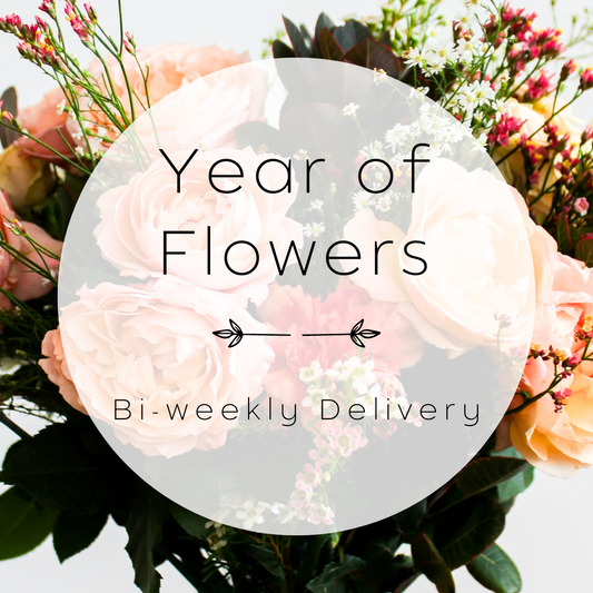 Bi-weekly Delivery - A Year of Flowers