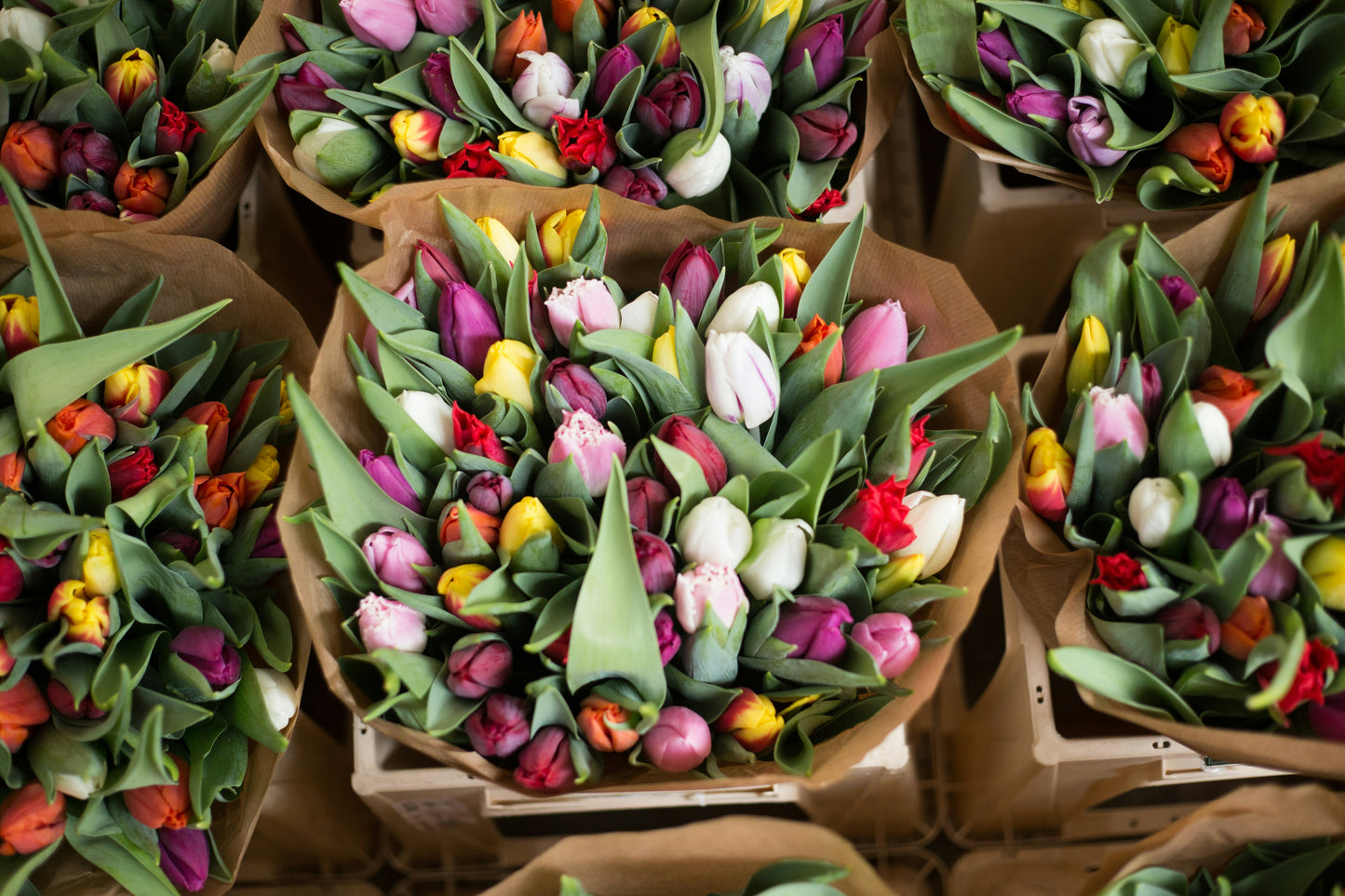 Monthly delivery - Wrapped in-season, local flowers